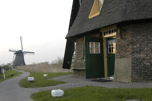 Alles wat u moet weten over het verzekeren van een monument met rieten dak